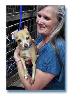 Veterinary Technician with small dog.